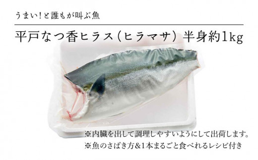 着日指定 可能 平戸生まれのブランド魚 平戸なつ香 ヒラス 半身 約1kg 平戸市 坂野水産 Kaa7 長崎県平戸市 ふるさとチョイス ふるさと納税サイト