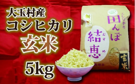 【おいしいお米コンクール受賞米あだたらドリームアグリ㈱】 コシヒカリ　玄米　５kg【07312】