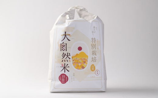 大自然米 夢つくし 玄米 計10kg (5kg×2個) お米 591728 - 福岡県香春町