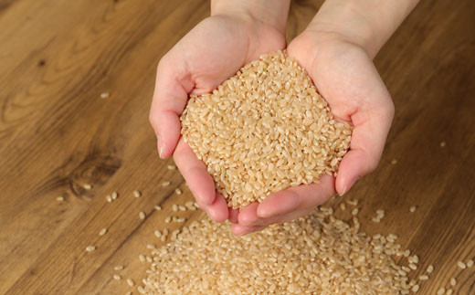 大自然 米 夢つくし 玄米 計10kg (5kg×2個)