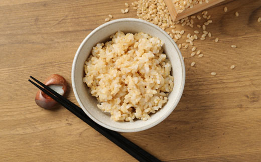 大自然 米 夢つくし 玄米 計10kg (5kg×2個)