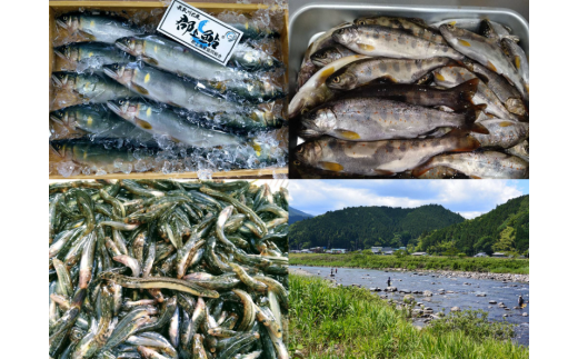 【B-57】清流長良川の恵みセット