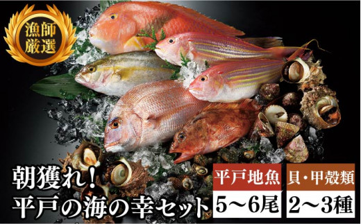 着日指定 可能 即配送 漁師厳選 朝獲れ 平戸 地魚 詰合せ 5 6尾 貝類甲殻類 2 3種 平戸市 平戸瀬戸市場協同組合 Kaa154 長崎県平戸市 ふるさと納税 ふるさとチョイス