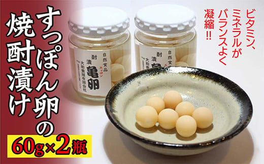 ｂ－３０８　すっぽん卵の焼酎漬け　２瓶 408365 - 佐賀県多久市