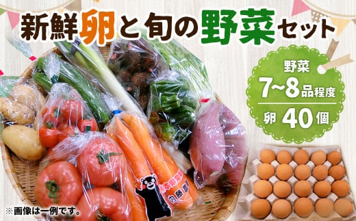 新鮮 卵 と 旬の 野菜 セット (野菜7-8品程度＋40個)  ／  たまご 生卵 タマゴ 詰合せ セット 熊本県 特産品
