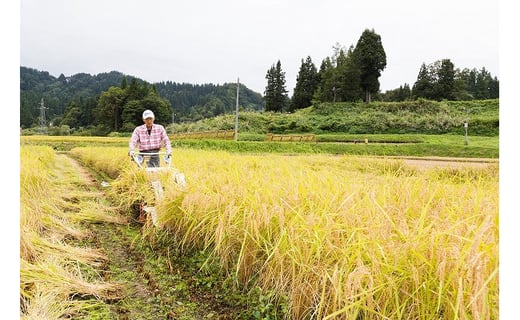 江戸伝承極上米(超低農薬）天日干し特別栽培米5kg 魚沼産コシヒカリ