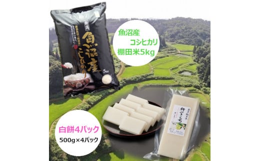 魚沼産コシヒカリ・棚田米 5kg+杵つき白餅4パック（500g×4パック）
