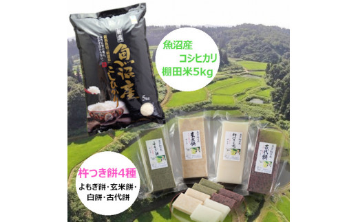 魚沼産コシヒカリ・棚田米 5kg+杵つき餅4種（500g×4パック）