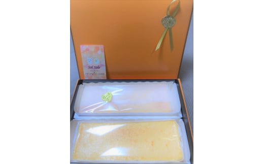 Sol soleのチーズケーキ2種セット 無添加 スイーツ デザート 鹿嶋市 チーズケーキ 送料無料