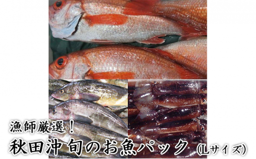 5685 1817 にかほ市の漁師厳選 秋田沖の旬のお魚パック Lサイズ 3 4人前 秋田県にかほ市 ふるさと納税 ふるさとチョイス