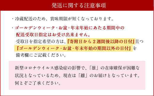 006 687 豊の しゃも肉 セット ムネ肉 モモ肉 鶏ガラ 大分県豊後大野市 ふるさと納税 ふるさとチョイス