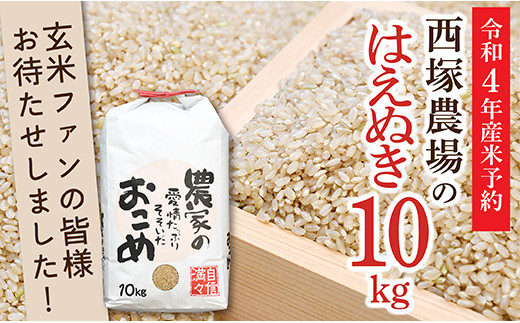 N010-R4-02 令和4年産米予約【玄米】 岩魚米はえぬき10㎏(10㎏×1袋)