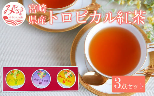 トロピカル紅茶 3点 セット_M054-005 334536 - 宮崎県宮崎市
