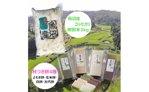 魚沼産コシヒカリ・棚田米 3kg+杵つき餅4種（500g×4パック）