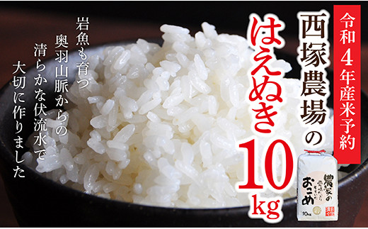 N010-R4-01 【令和4年産米予約】岩魚米はえぬき10㎏(10㎏×1袋)