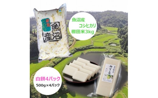 魚沼産コシヒカリ・棚田米 3kg+杵つき白餅4パック（500g×4パック）