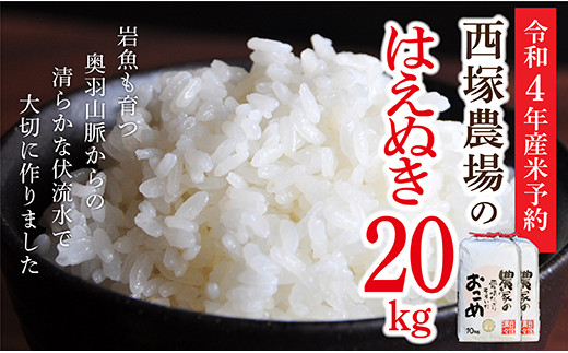 N016-R4-01 【令和4年産米予約】岩魚米はえぬき20㎏(10㎏×2袋)