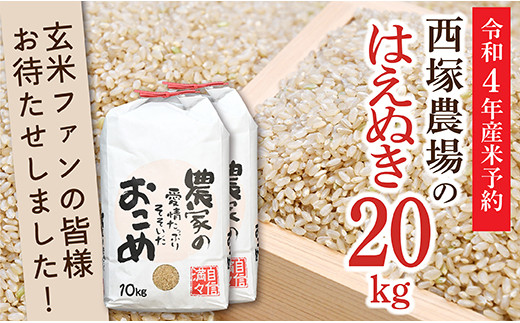 N016-R4-02 令和4年産米予約【玄米】 岩魚米はえぬき20㎏(10㎏×2袋)