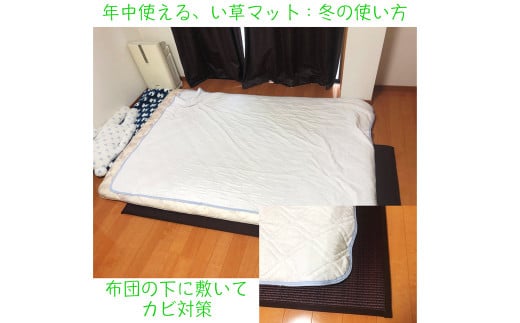 畳 マットレス 超ふっくら仕上げ (10色から選べる) 寝具