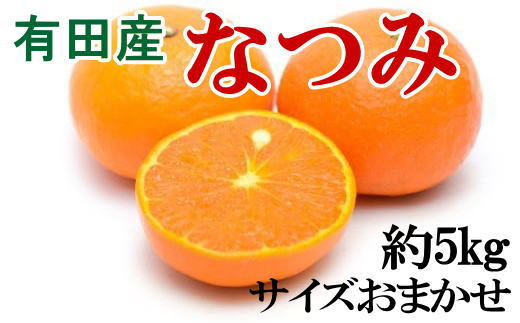 【希少柑橘】有田産なつみ約5kg（S～2Lサイズおまかせ） 859269 - 和歌山県太地町