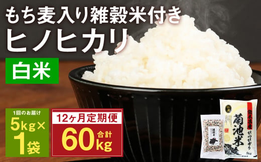 定期便12ヵ月】熊本県菊池産 ヒノヒカリ 精米 計60kg(5kg×12) もち麦