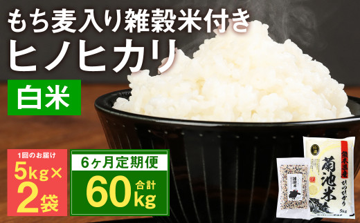 定期便6ヵ月】熊本県菊池産 ヒノヒカリ 精米 計30kg(5kg×6) もち麦入り