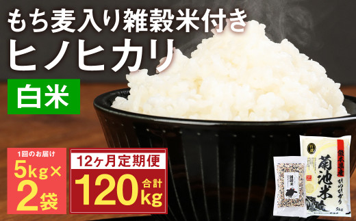 定期便12ヵ月】熊本県菊池産 ヒノヒカリ 精米 計120kg(10kg×12) もち麦