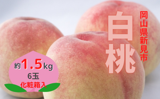 果物王国！岡山県新見市のジューシーな桃をお届けします。