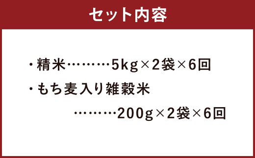 【定期便6ヵ月】熊本県菊池産 ヒノヒカリ 精米 計60kg(10kg×6) もち麦入り雑穀米 計2.4kg(400g×6) 