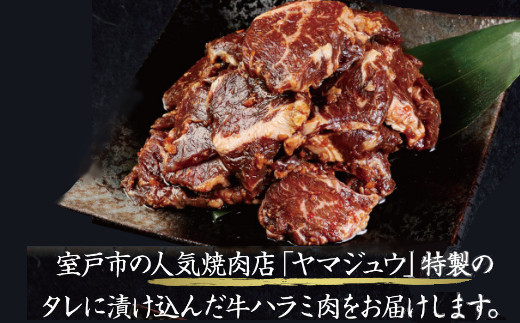 ヤマジュウの特製タレ漬け！牛ハラミ肉５００ｇ【３回定期便】