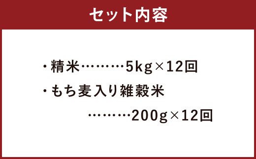 【定期便12ヵ月】熊本県菊池産 ヒノヒカリ 精米 計60kg もち麦入り雑穀米計2.4kg