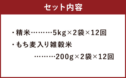 【定期便12ヵ月】熊本県菊池産ヒノヒカリ 精米 計120kg(10kg×12) もち麦入り雑穀米 計4.8kg(400g×12)