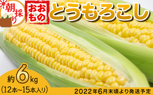 66-31下妻産朝採りとうもろこし(おおもの)約6kg