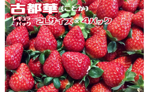 奈良県の高級ブランドいちご  毎年大好評の甘い美味しい苺（レギュラーパック２Lサイズ）（古都華（ことか））◇※発送前に電話連絡あり※2024年1月より順次発送予定※北海道・沖縄・離島への配送不可