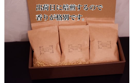 【定期便3回】出荷日焙煎『新鮮珈琲豆セット』3種 6袋 コーヒー 珈琲