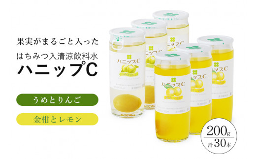 果実入り清涼飲料水 ハニップC 2種類セット(30本) / ドリンク 飲料 ジュース 梅 うめ りんご