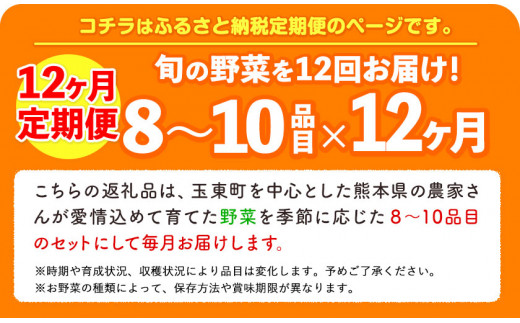 12ヶ月定期便 季節の野菜詰め合わせセット 8 10品目 お申込み月の翌月から出荷開始 ゆめ ステーション このは 旬の野菜 キャベツ じゃがいも にんじん トマト 大根 熊本県玉東町 ふるさとチョイス ふるさと納税サイト