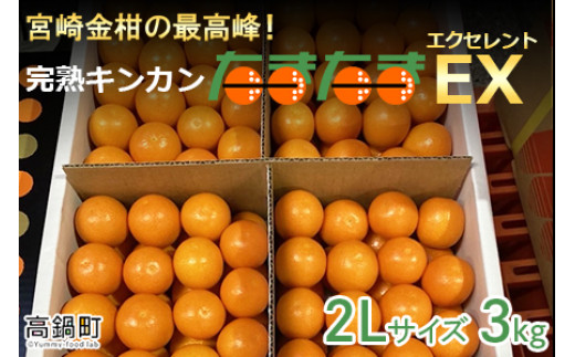 ＜完熟キンカン「たまたまEX」エクセレント 2L×3kg １箱＞