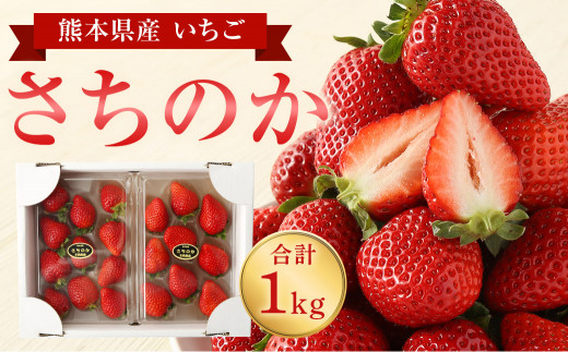 熊本県産 いちご さちのか 計1kg (250g×4パック) 苺 果物 フルーツ