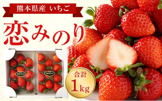 熊本県産 いちご 恋みのり 計1kg (250g×4パック) 苺  果物 フルーツ