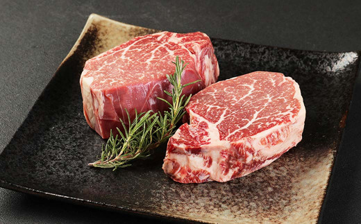 地元ブランド くまもとあか牛 ステーキ セット 計900g（ロース250g×2枚 ヒレ200g×2枚）国産 和牛 牛肉