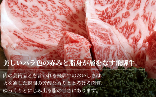 飛騨牛 A5等級 肩ロース すき焼き / しゃぶしゃぶ用 500g 黒毛和牛 肉