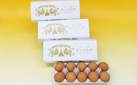 平飼い八雲鶏(やくもどり)　彩り天佑卵(てんゆうらん) 10個×3パック