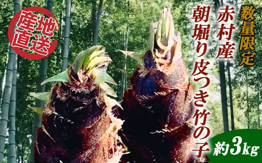 【数量限定】赤村産　朝掘り皮つき竹の子　約3kg S1 571076 - 福岡県赤村