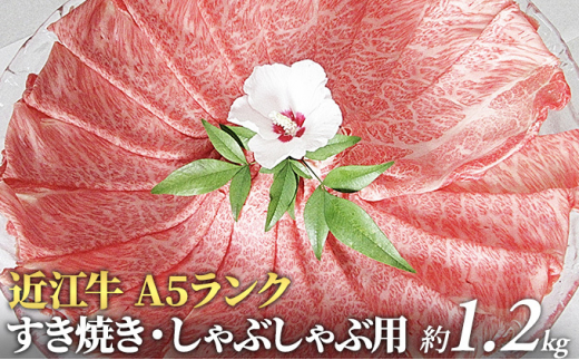 59 0110 近江牛a5ランクすき焼き しゃぶしゃぶ用約1 2kg 納期1カ月 最長3カ月 滋賀県豊郷町 ふるさと納税 ふるさとチョイス