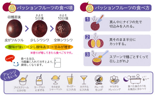 期間限定 西原町パッションフルーツ研究会 パッションフルーツ 家庭用 約2kg 沖縄県西原町 ふるさとチョイス ふるさと納税サイト