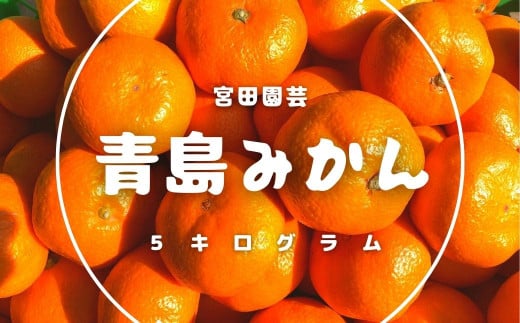 竹雫香 竹梅ディフューザー・オイルセット＜柚子＞【1464960】 - 大分