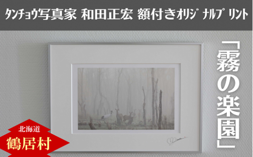 タンチョウ写真家  和田正宏  額付きオリジナルプリント「霧の楽園」(サイン入り)