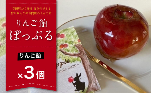 【2024年9月より順次発送予定】幸田町から贈る 行列のできる信州りんごの専門店のりんご飴『ぽっぷる』