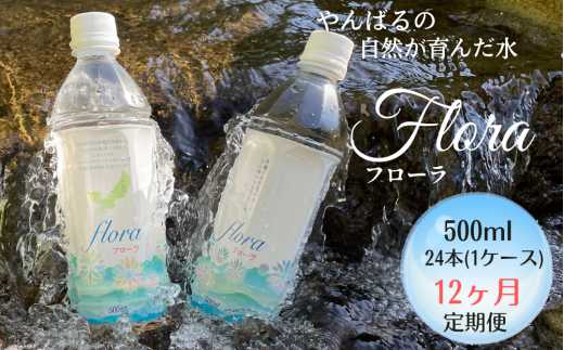 【12ヶ月定期便】やんばるの水 Flora【フローラ】500ml 24本